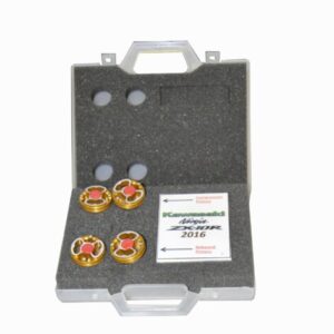 Kit de piston de fourche BFF showa